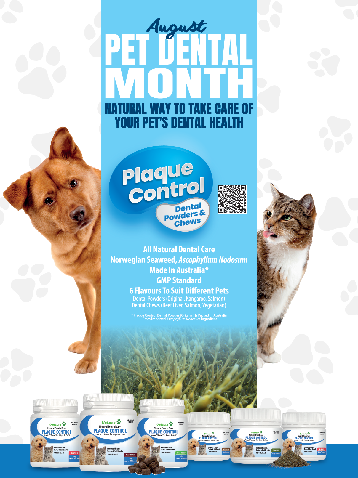 Let’s Focus on Pet’s Oral Health in August Pet Dental Month